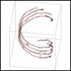 DynamicPET-Numerics